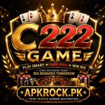 C222 Game