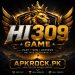 HI309 Game