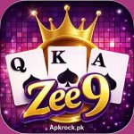 ZEE9 Game